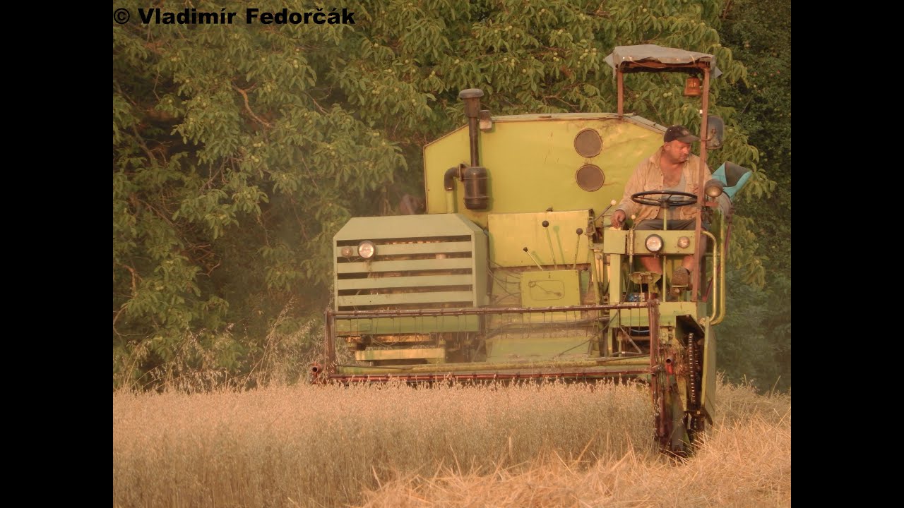 Claas Corsar - wheat harvest