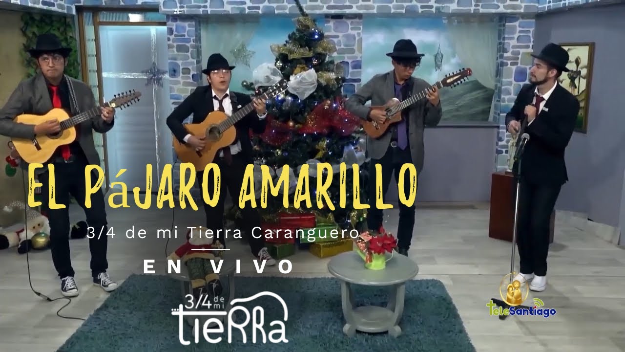 El Pájaro Amarillo  • Merengue Vallenato -  Rafael Campo  I 3/4 de mi Tierra Carranguero (En Vivo)