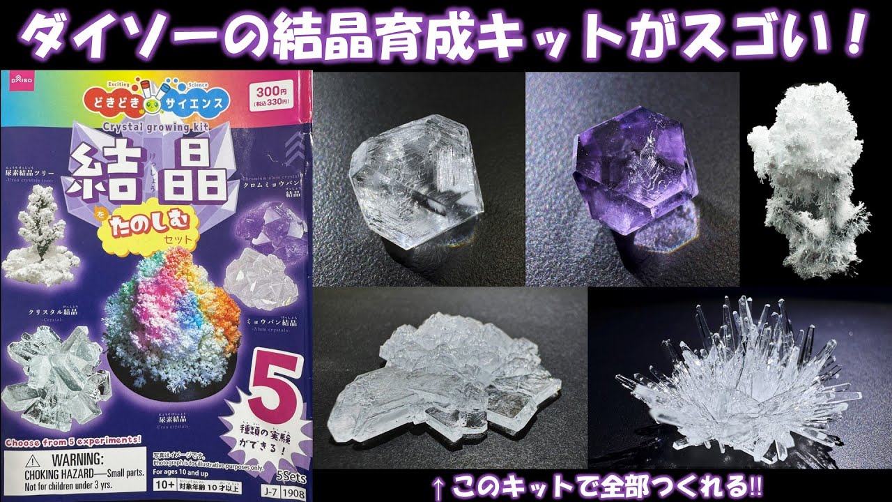 【自由研究】ダイソーの結晶育成キットがスゴい！