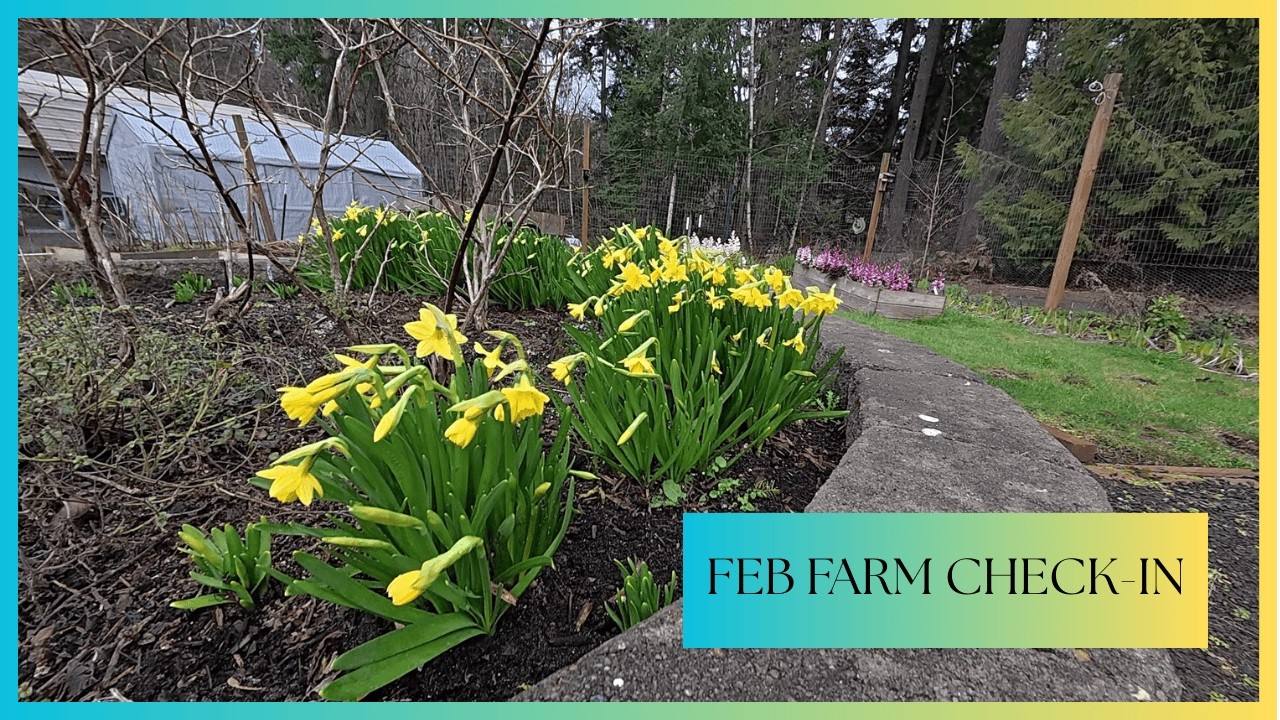 February Farm, Garden & Greenhouse Tour 🌿 What’s Growing Right Now