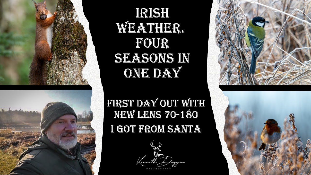 Irish Weather, Four seasons in one Day, first day out with Nikon 70-180mm Lens, Irish wildlife,