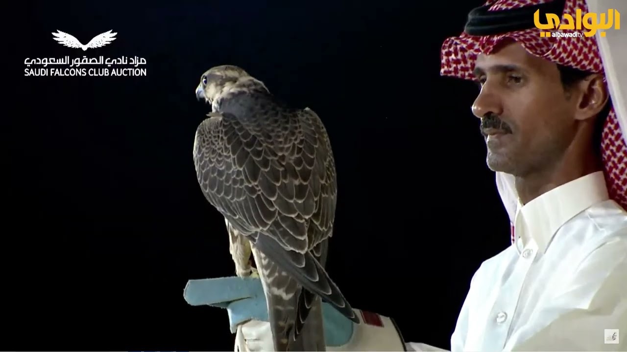 المزاد الخامس- معرض الصيد والصقور السعودي 2024م