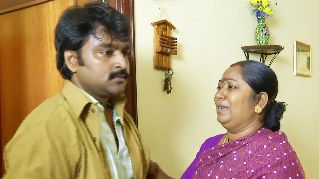 வாணி ராணி - Vani Rani | Ep 393 | Radhika Sarathkumar, Venu Arvind, Babloo | Ultra Tamil TV Serial
