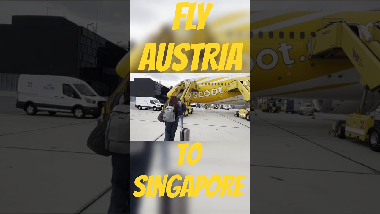 POV: Budget Flight from Vienna to Singapore 🇦🇹✈️🇸🇬 | 12-Hour Journey on Scoot Airlines! #Shorts
