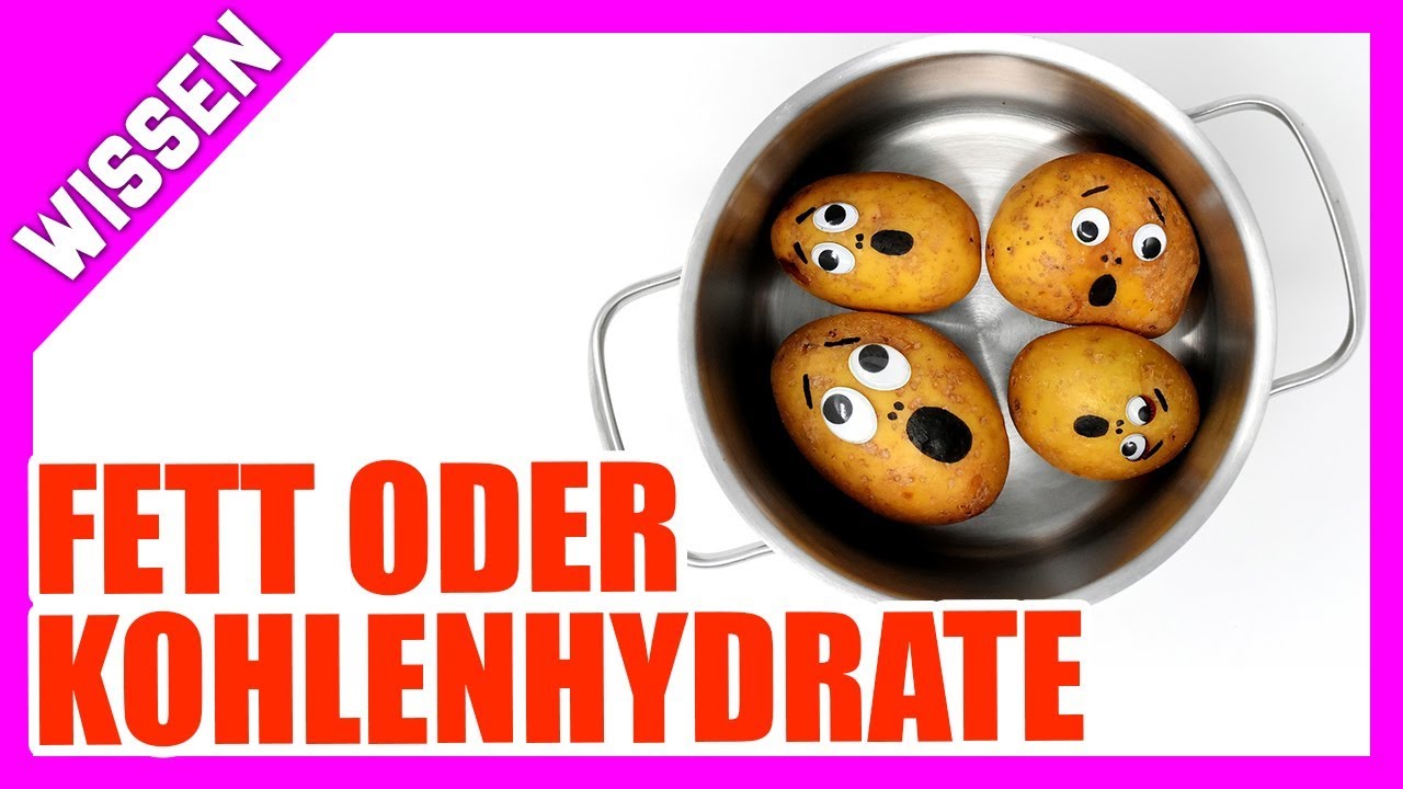 Kohlenhydrate oder Fett für den Körper die bessere Energie? | Patreon Frage
