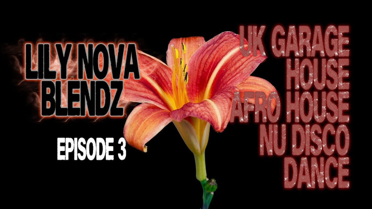 UK Garage, House, Dance (Fred Again, Plej, The Blaze) NOVABLENDZ 003