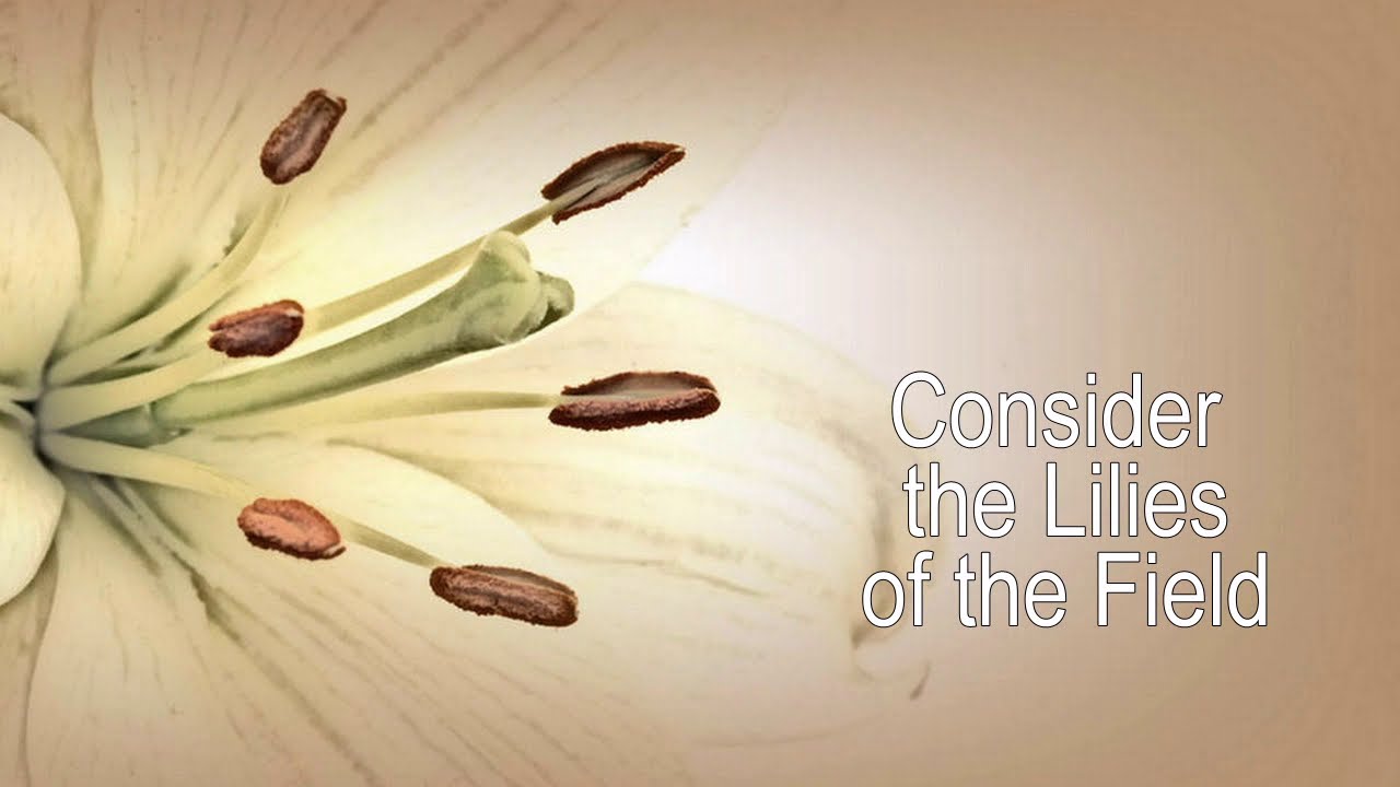Consider the Lilies of the Field Instrumental/Karaoke with Lyrics