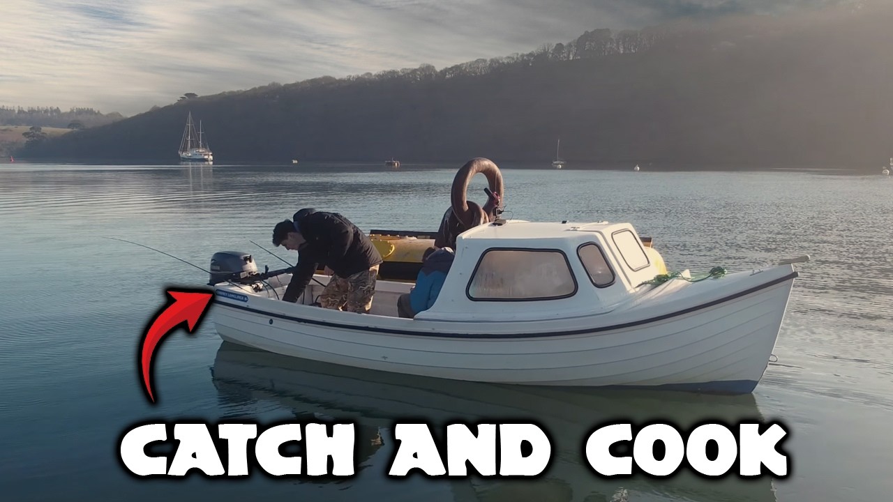 Boat CATCH and COOK | UK Sea Fishing | The Fal Anglers