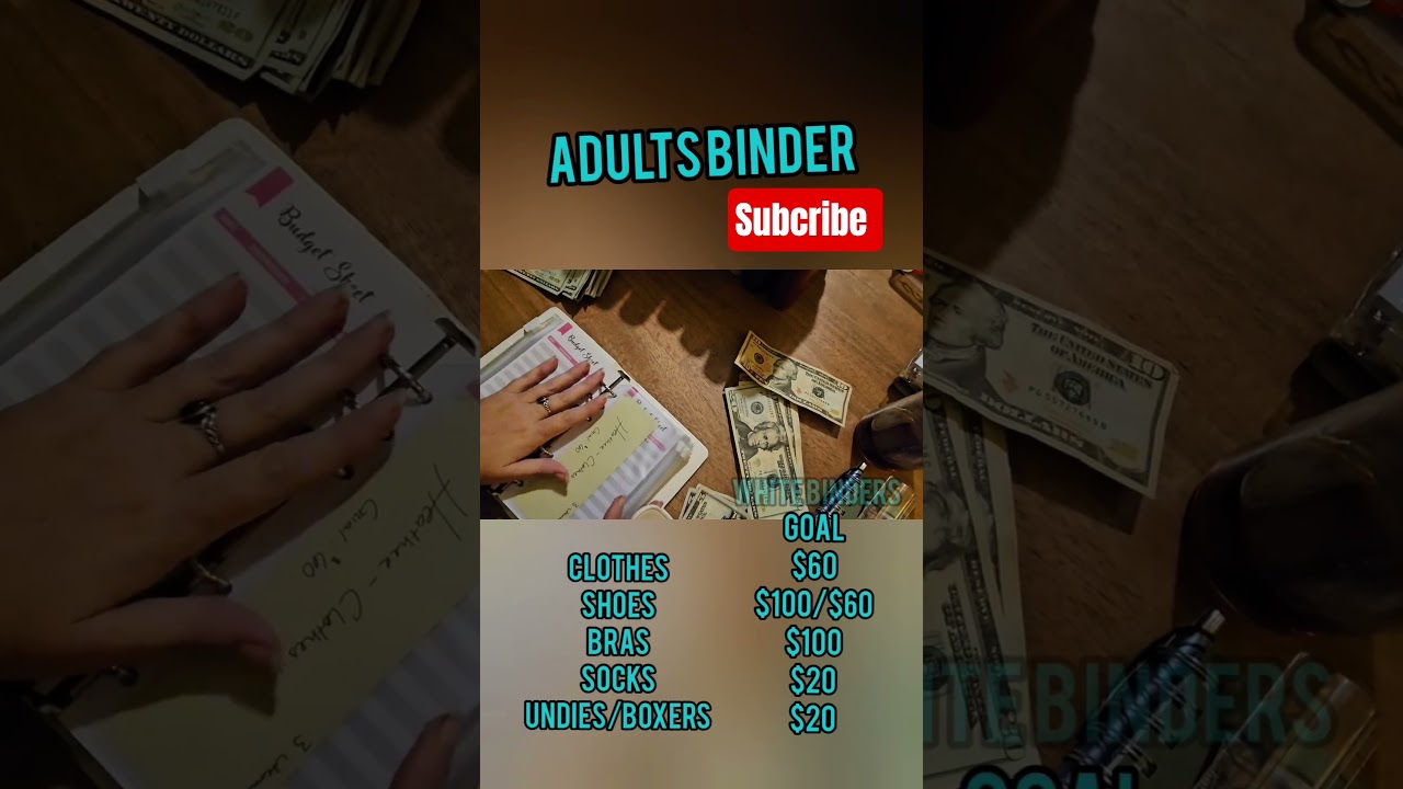 white binders review | Dirt Dollar Sunshine #cashbinder