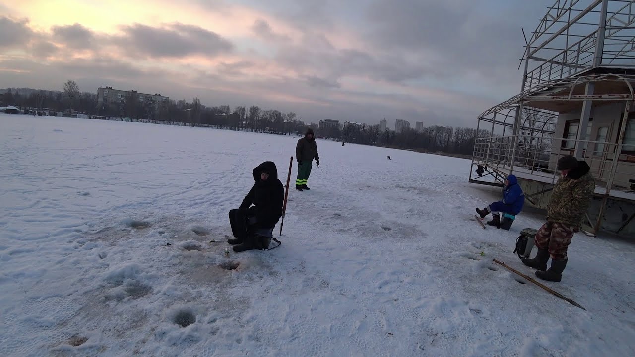 Мои зимние приключения с Борисом !!!#Январь 2026