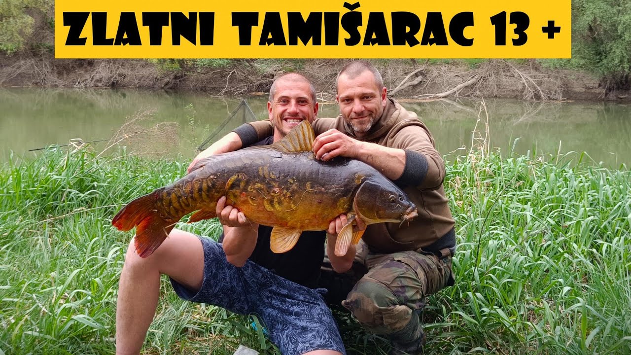 Razbijanje šarana krajem marta - PRVI DEO - još jedan kapitalac i jako puštanje 12/12 | CARPFISHING