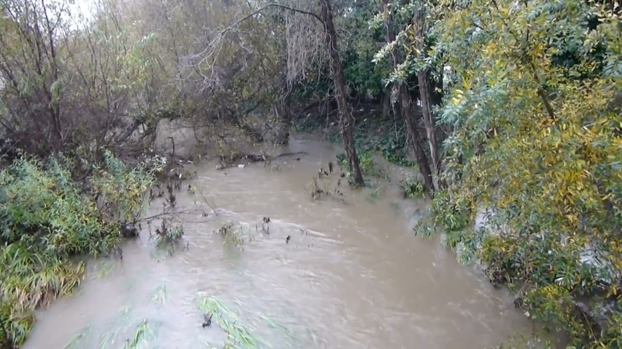 Wildcat Creek North Richmond 