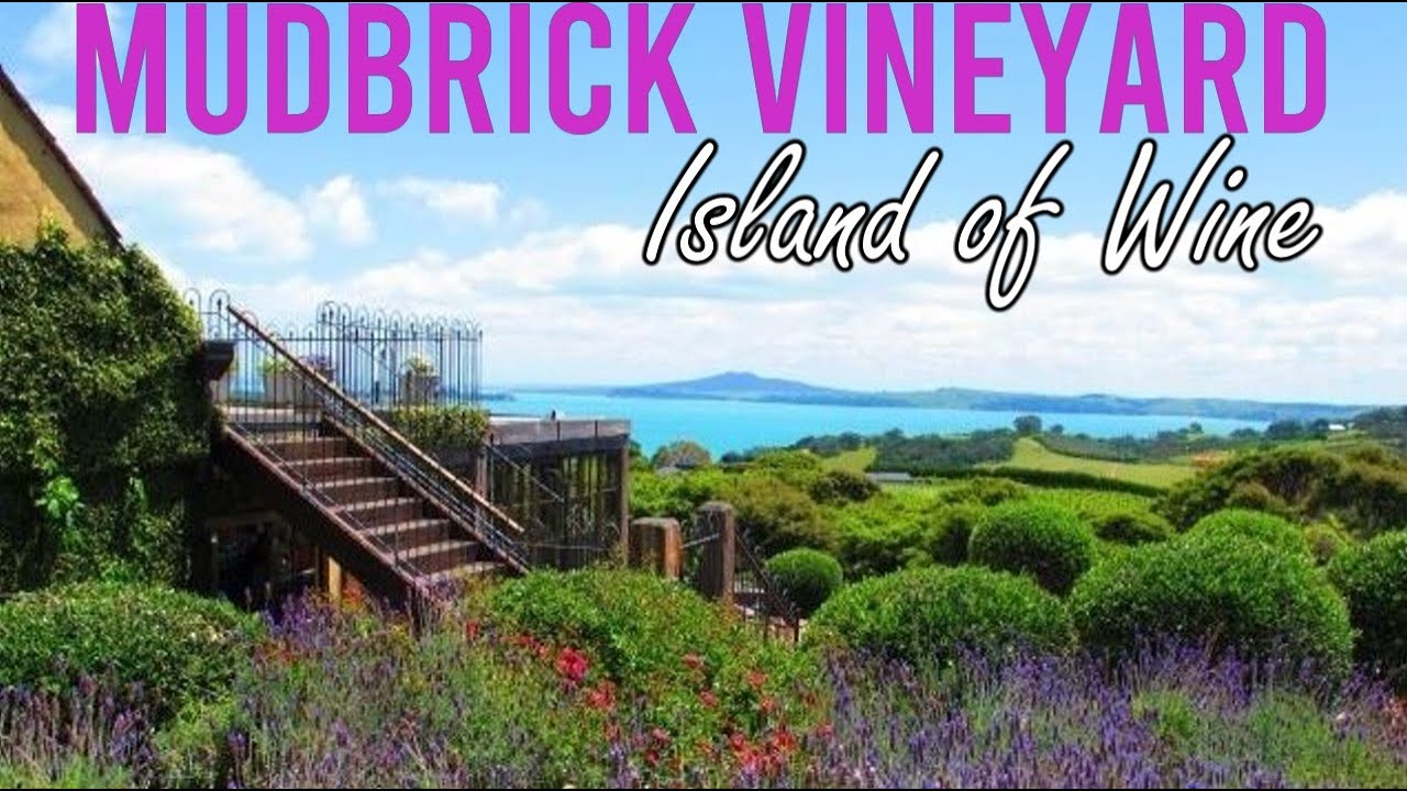 Mudbrick 🍷 Vineyard #Staycation  Waiheke Island 🍇 New Zealand 🇳🇿