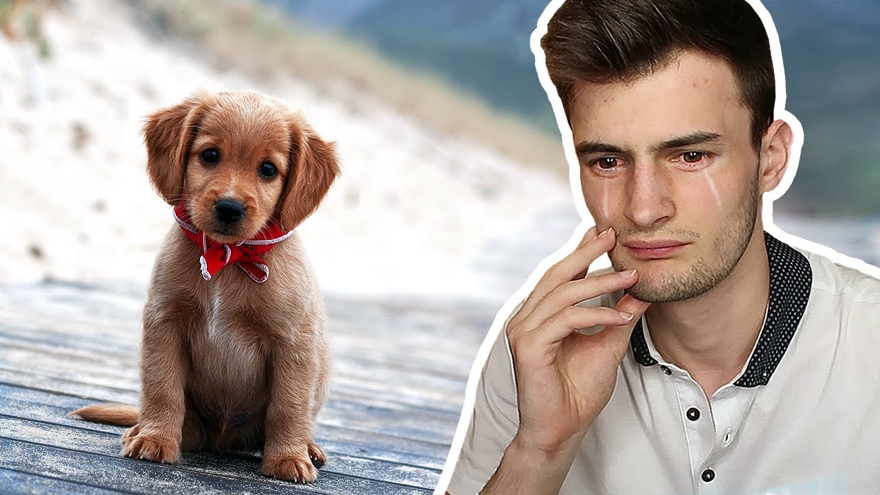 TRY NOT TO CRY CHALLENGE