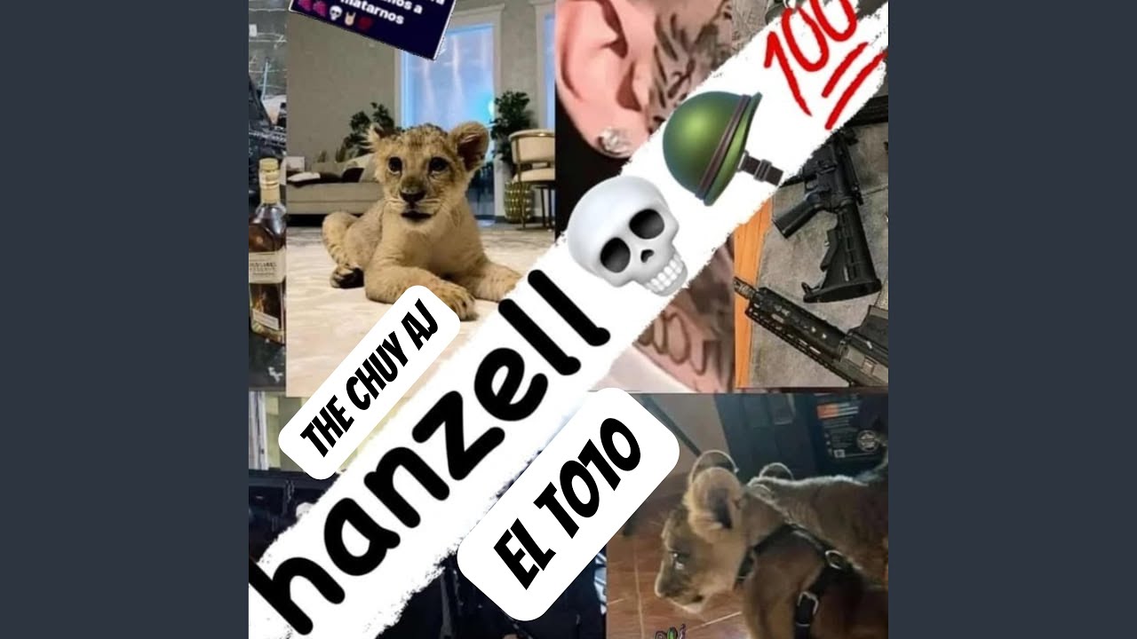Hanzell El T010