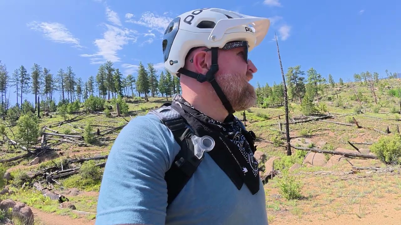 2025 Year in Cycling