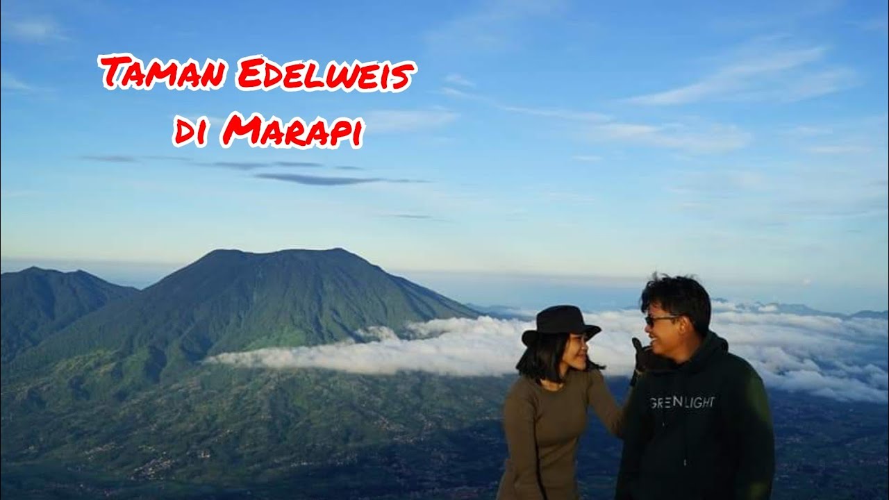 Pendakian Gunung Marapi - Taman Edelweiss