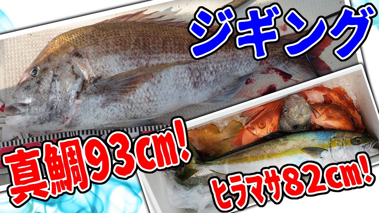 日本海ジギング　真鯛93㎝！　ヒラマサ82cm！