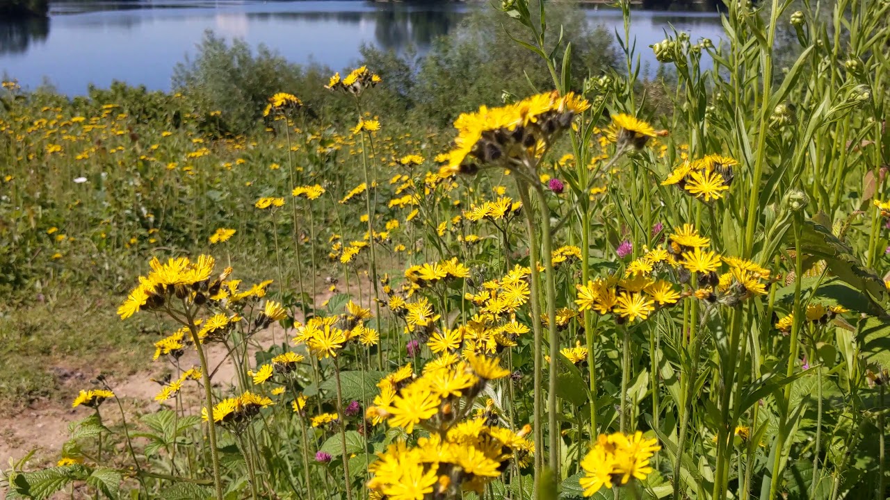 Google Pixel 3a // Camera Test #2 // 4K, 30FPS, Stabilization ON