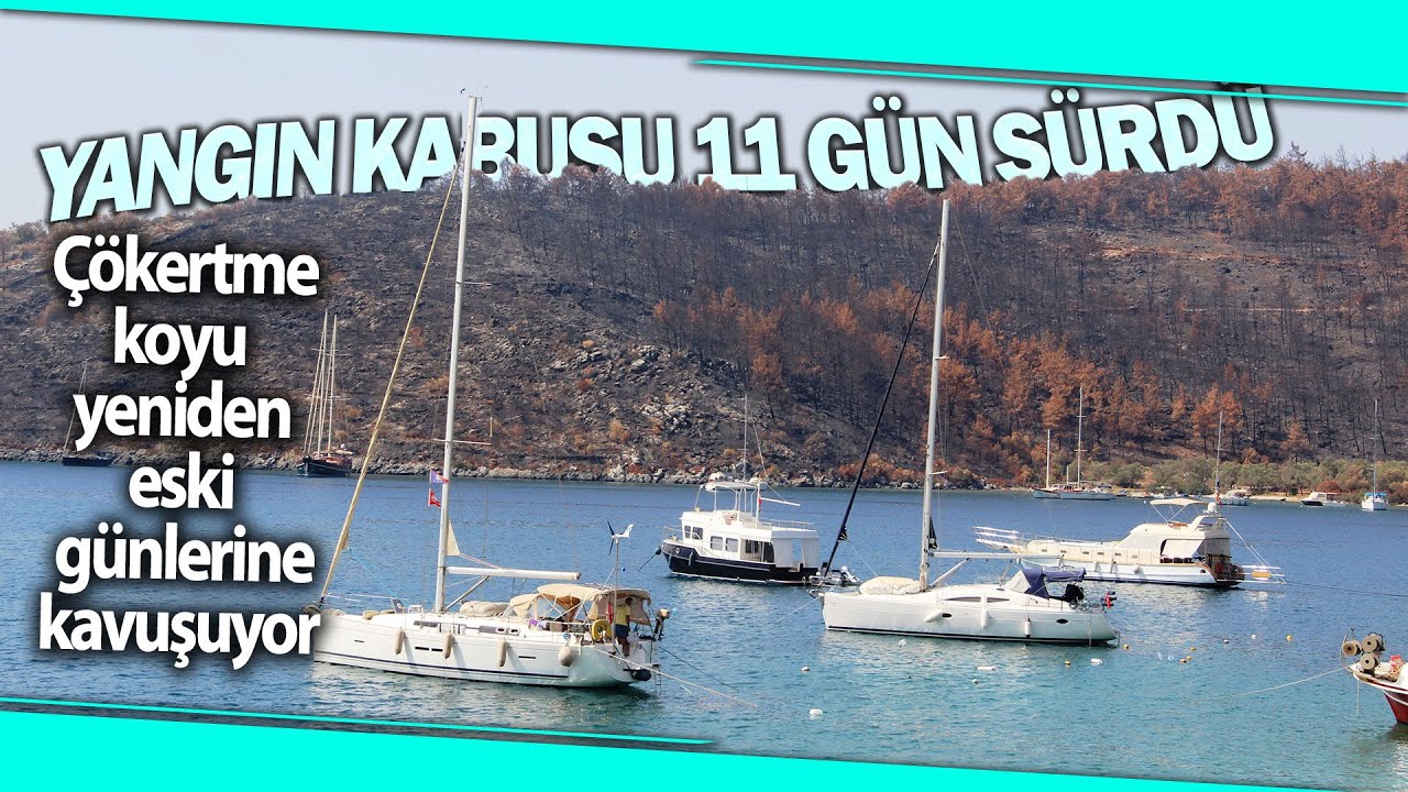 Çökertme Koyu Yangın Sonrasında Yeniden Eski Günlerine Kavuşuyor
