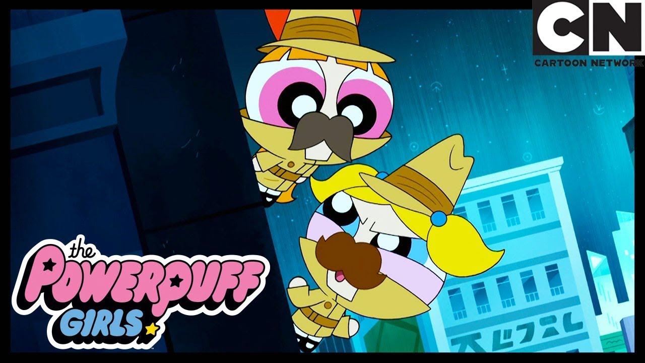 Gato Ladrão | As Meninas Superpoderosas | Cartoon Network