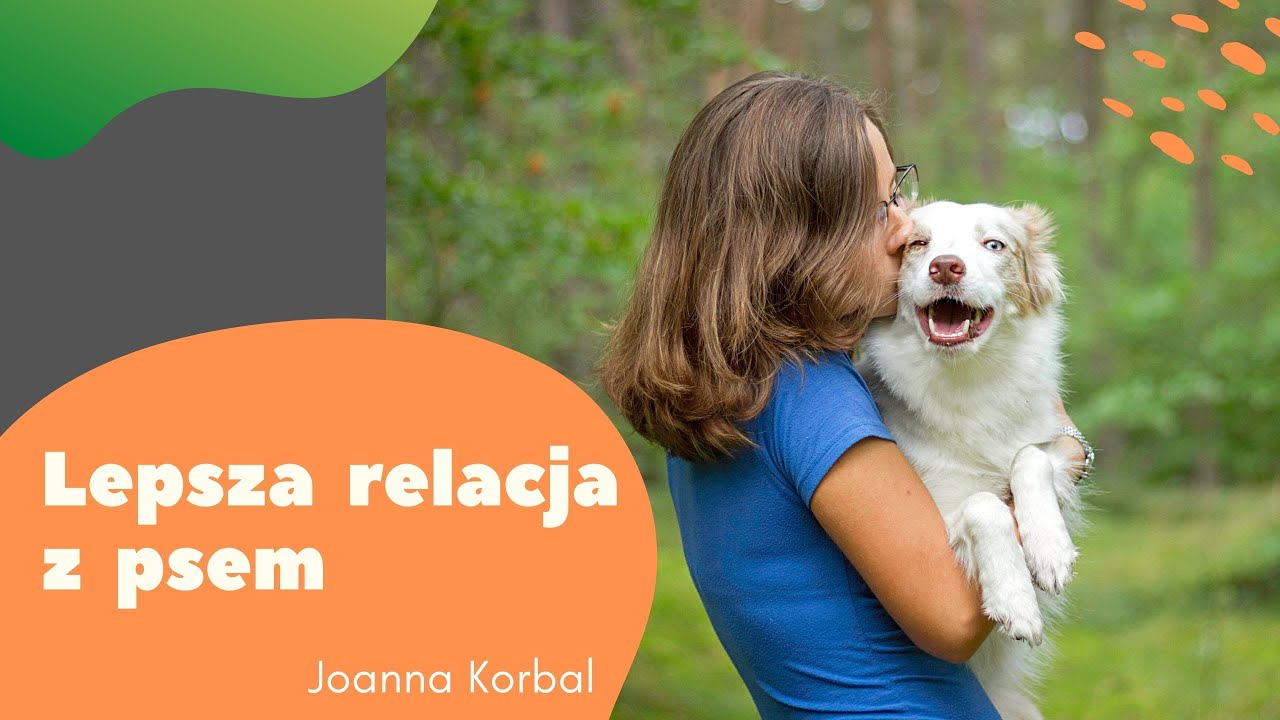 5 rad: Jak poprawić relacje ze swoim psem?