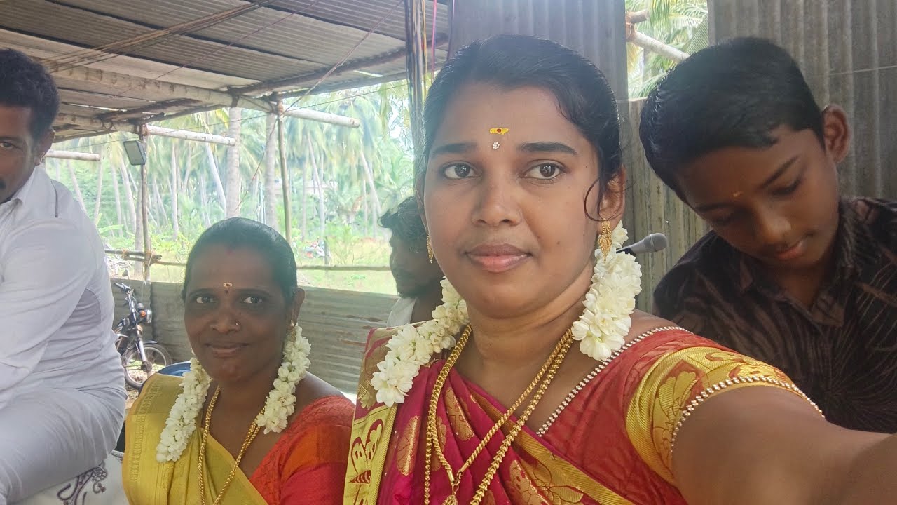 Nanthini villisai