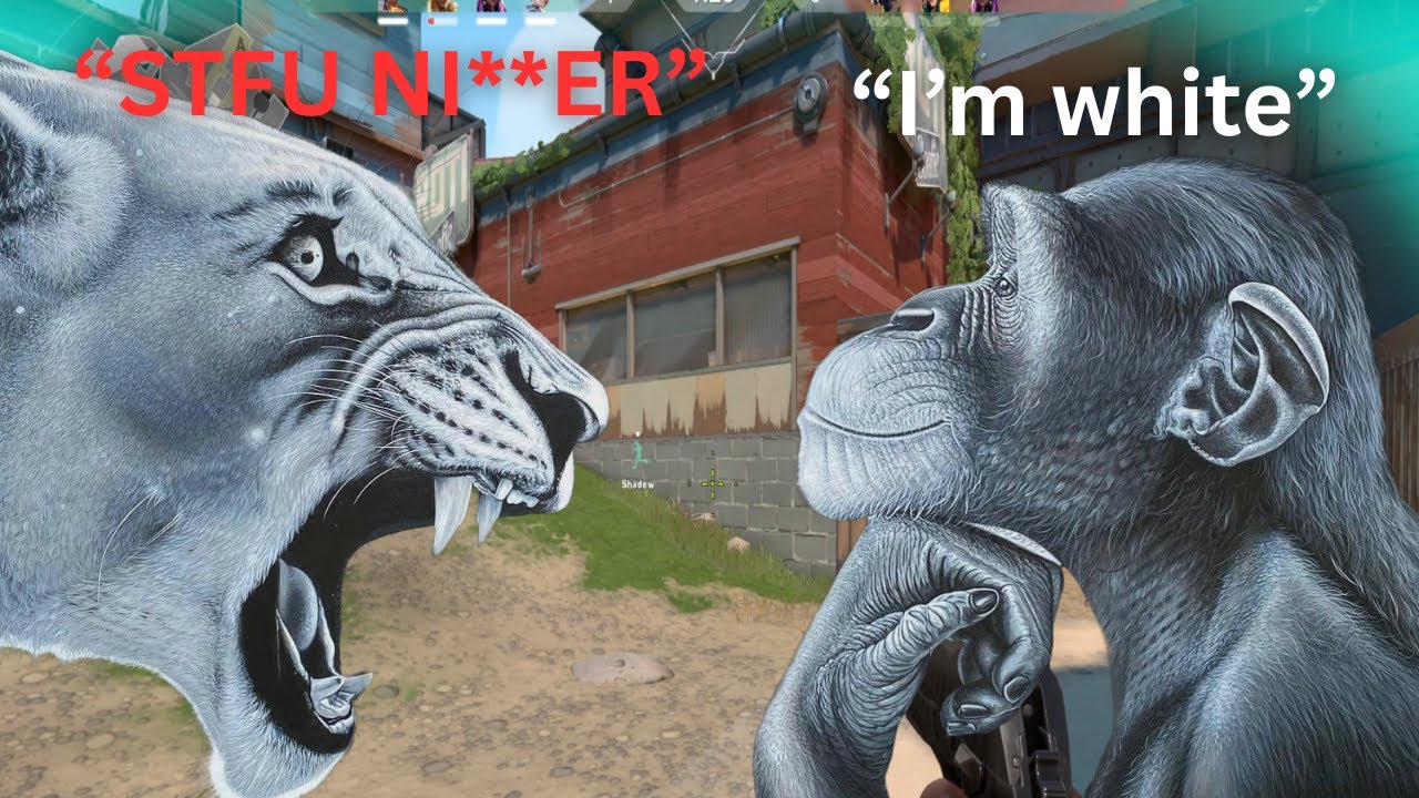 Germans Don't Understand Ragebait