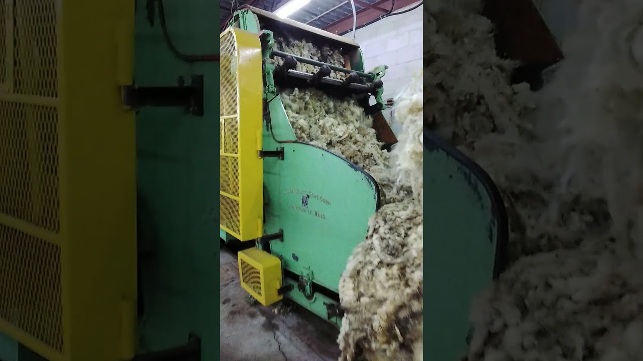 Briggs & Little yarn: Part 1 - Washing the raw wool