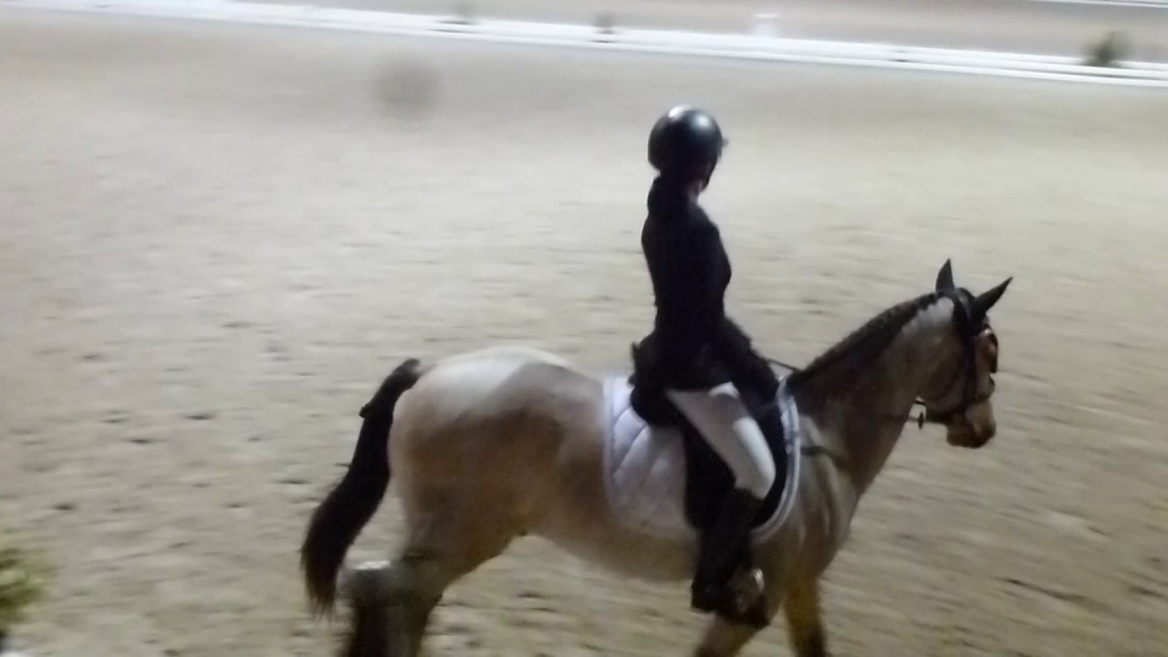 CLUB ELITE GRAND PRIX DRESSAGE
