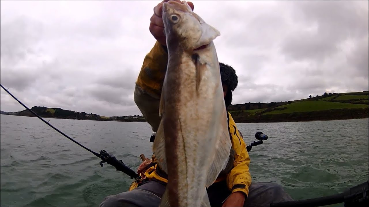 Catching BIG WHITING for Dinner - No Time for Talking!