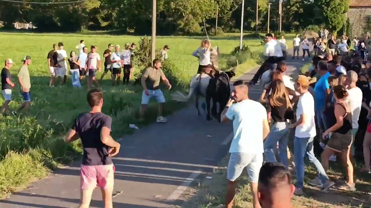 PARCOURS OUVERT  MANADE CONTI DE MOULES 