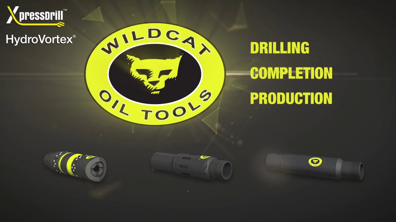 Wildcat Introduction