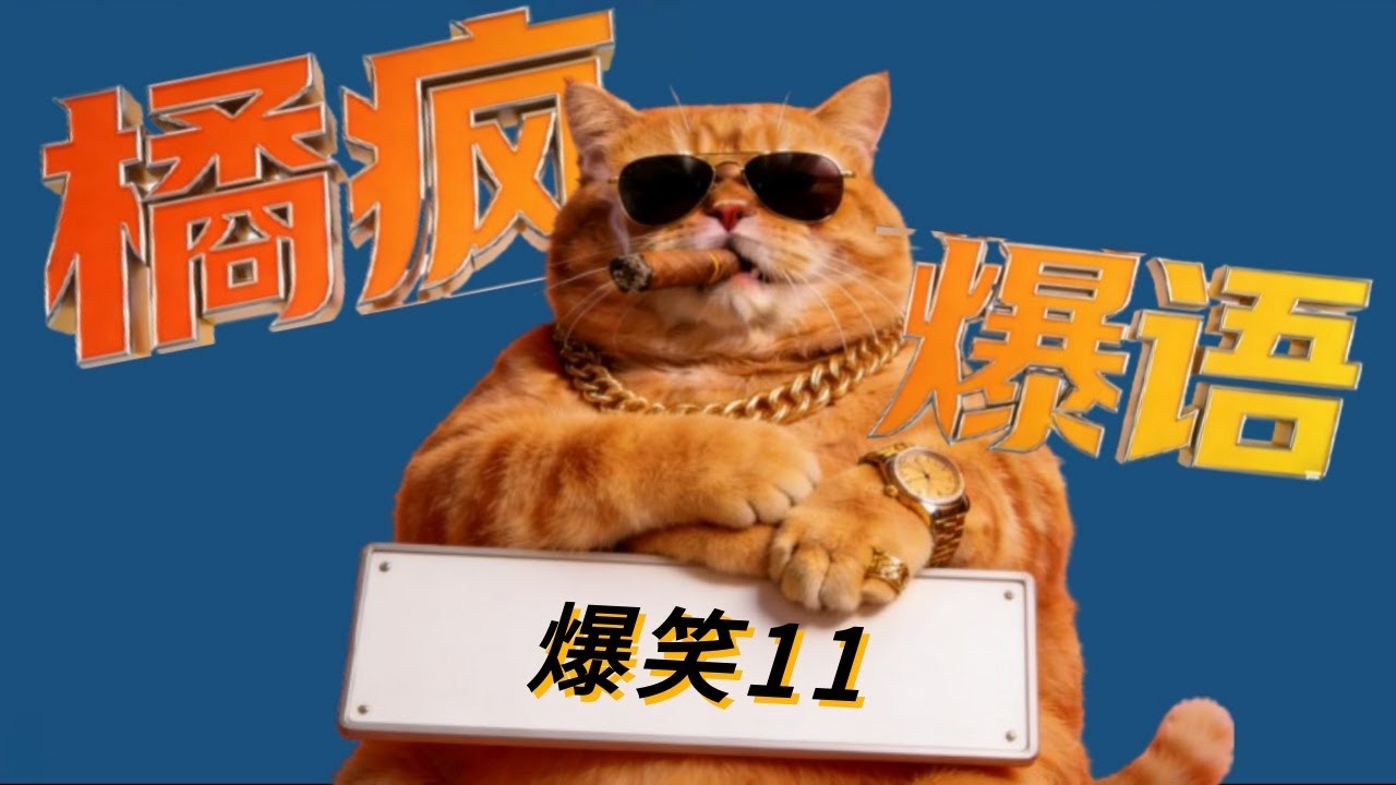 橘疯暴语第 11 期