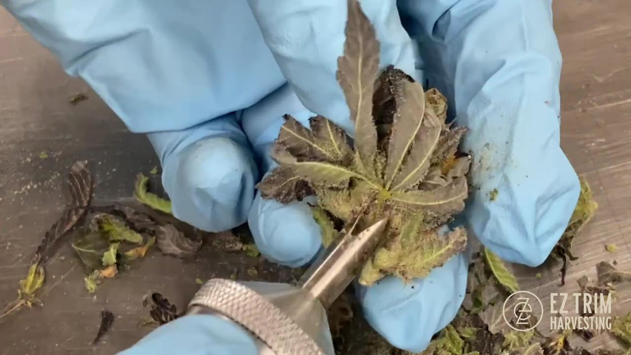 Ez Trim | Trim Pen | Operational Video