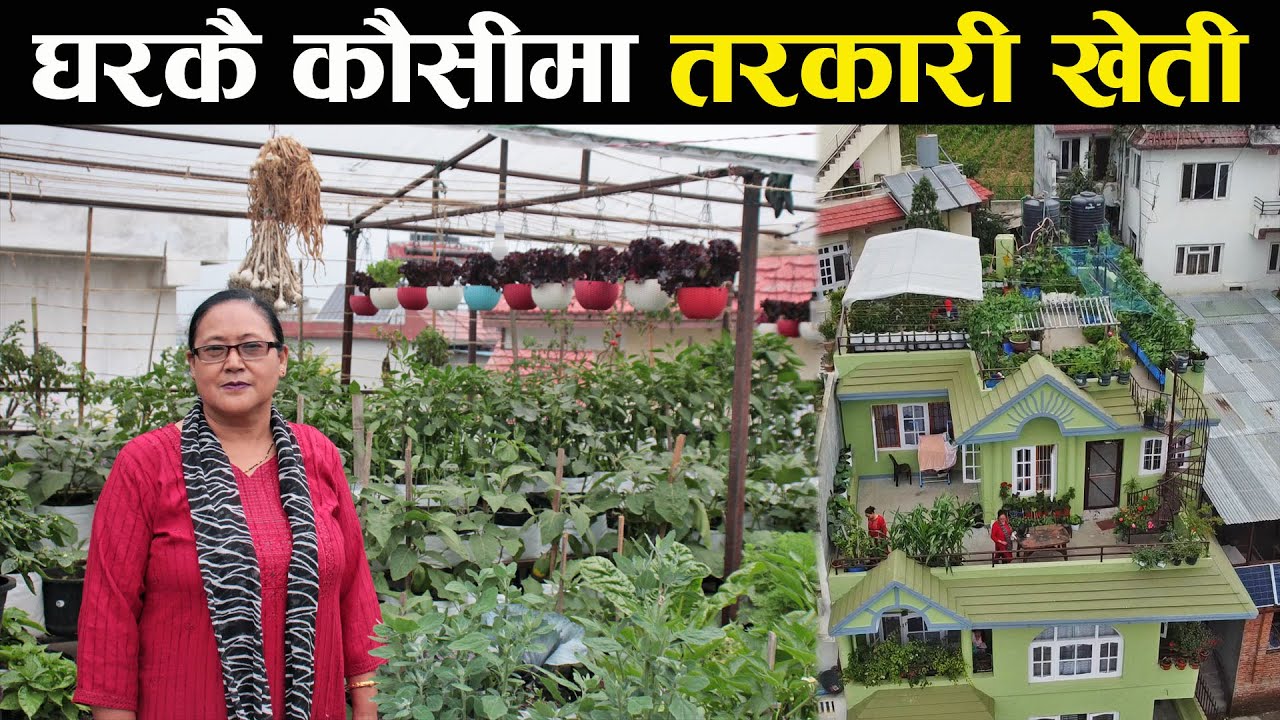 नेपालको एउटा उदाहरणीय कौसी खेती ! - Rooftop farming in Nepal - an interview with Urmila Adhikari