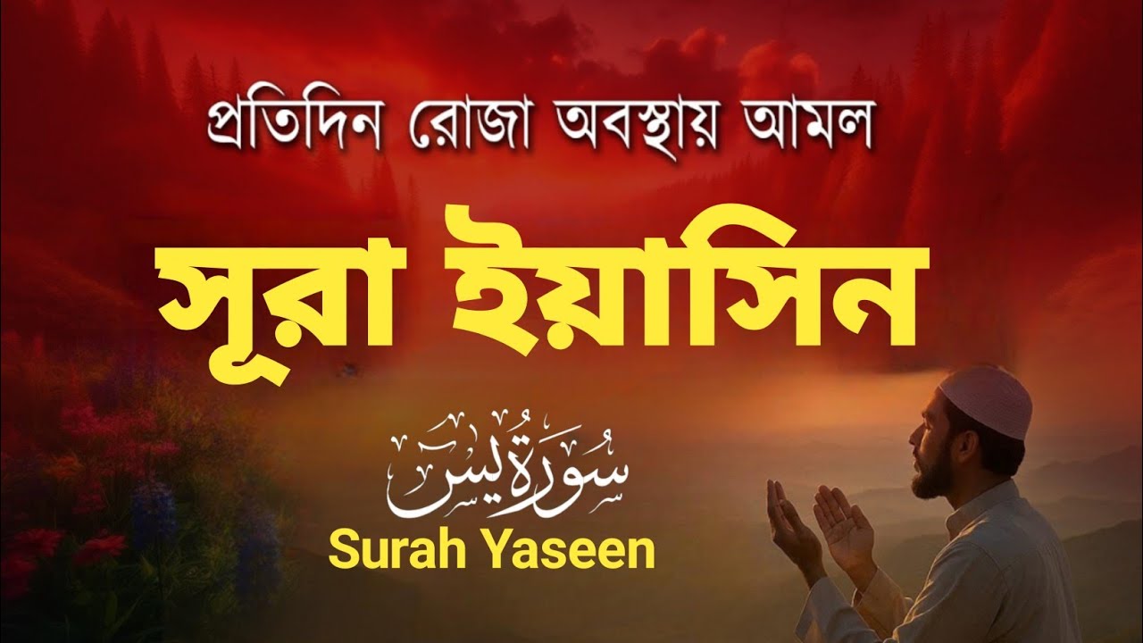 মন প্রশান্তির শ্রেষ্ঠ তেলাওয়াত – সূরা ইয়াসিন | অন্তর শীতল করা কণ্ঠে Surah Yasin | Ramadan Tilawat 