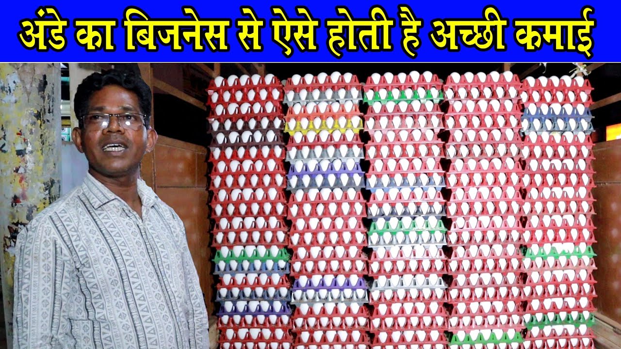 अंडे का बिजनेस कैसे करें ।Anda ka dhandha Kaise karen ।How to Start Eggs Business