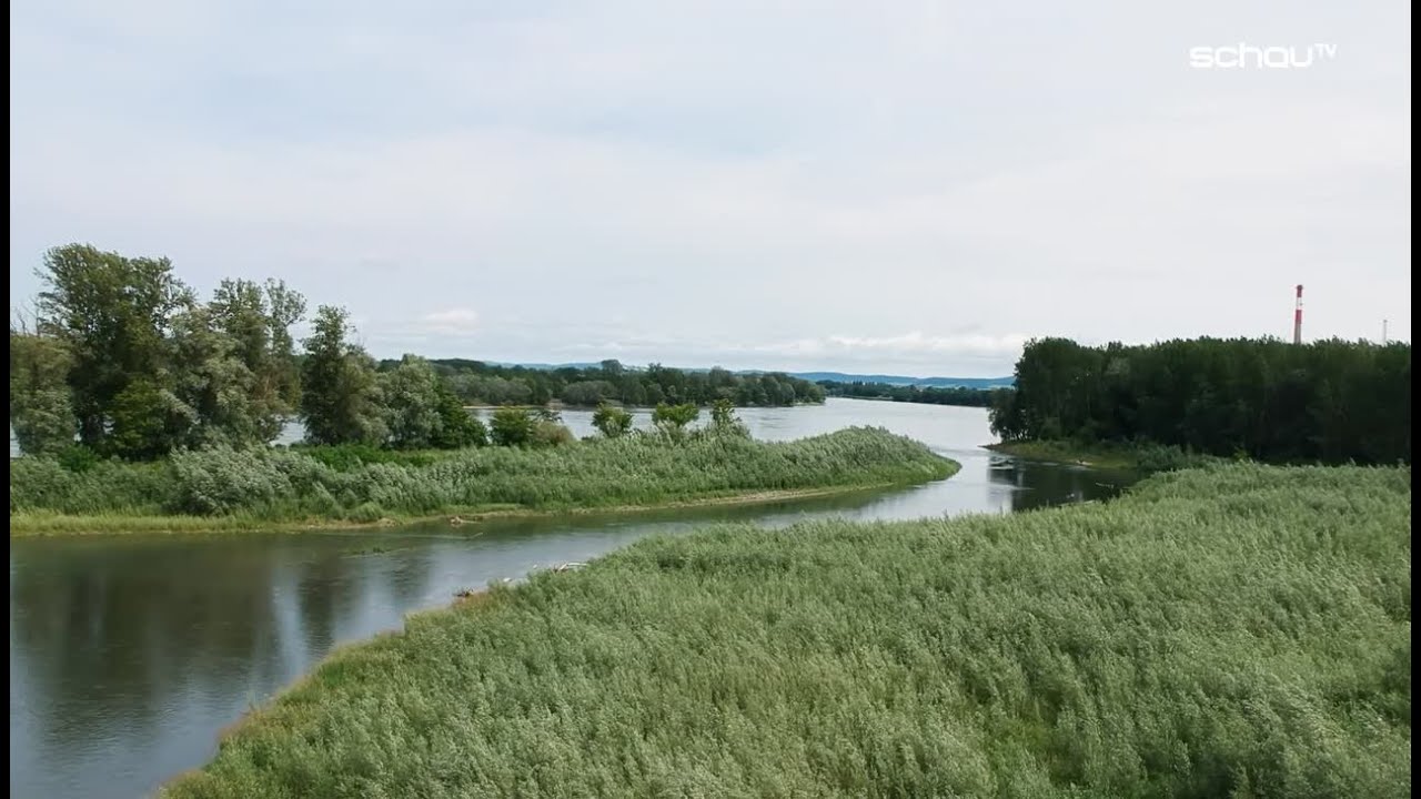 Lebensader Donau