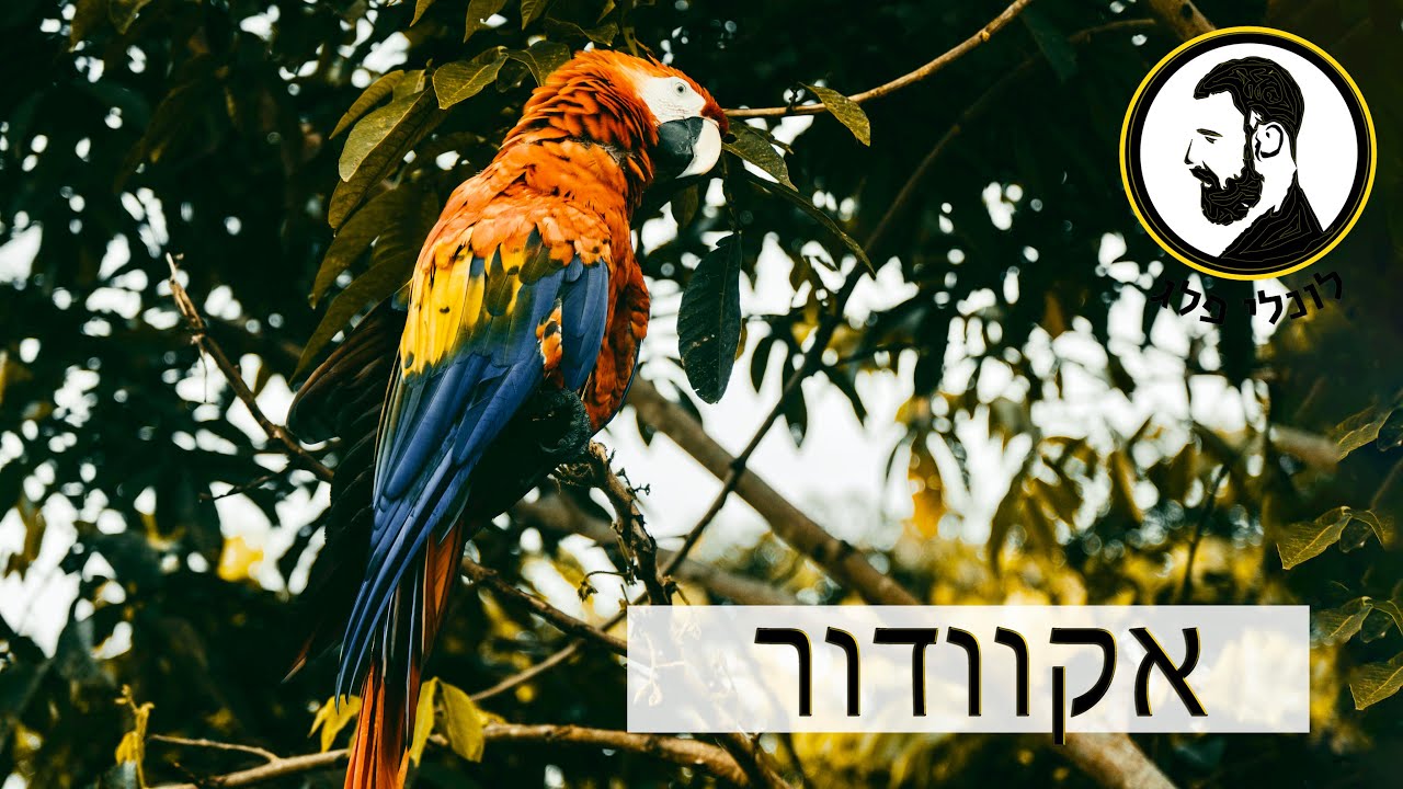 אקוודור