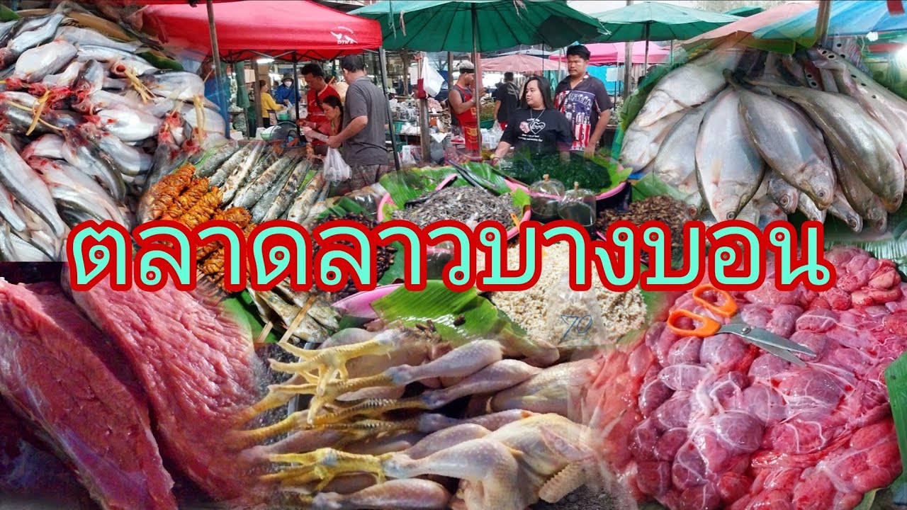 ตำนานอาหารป่าปลาแม่น้ำตามฤดูกาลตลาดลาวบางบอน22/2/69ตลาดคึกคักมากจักจั่นเริ่มออกแล้วคับ