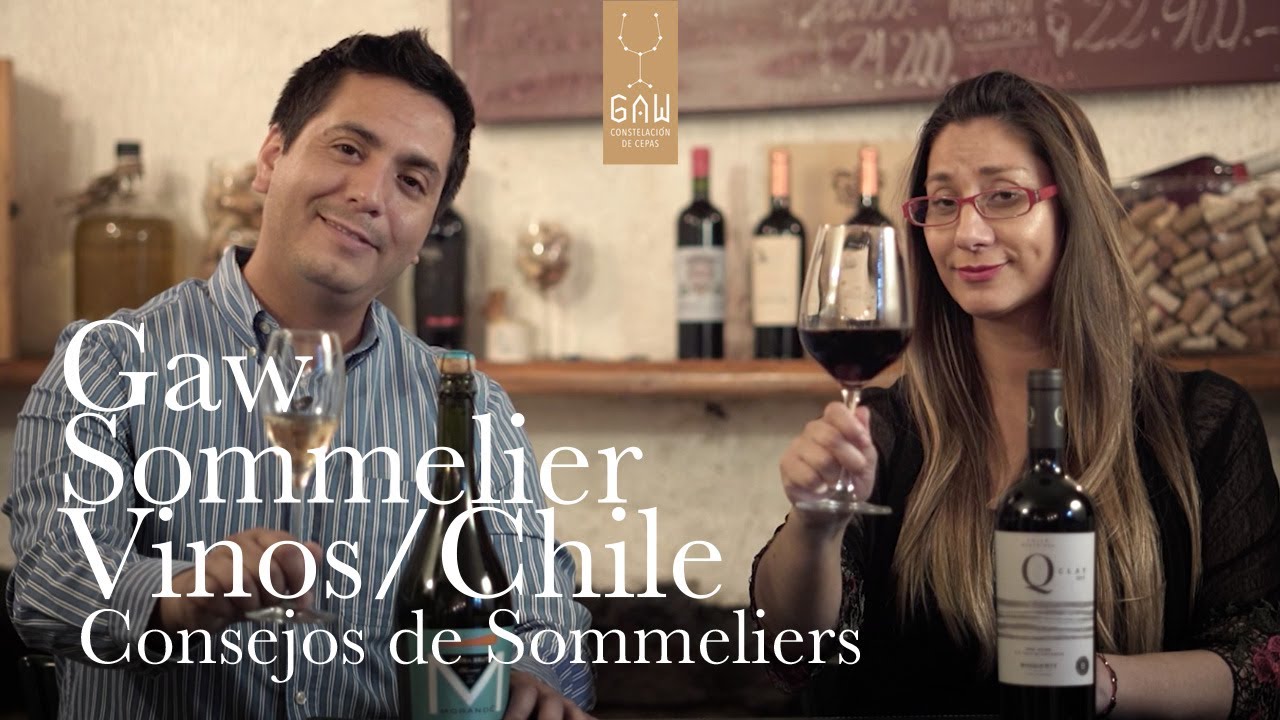 Ven a aprender los mejores tips de Vinos Chilenos con Claudia y Gabriel, sommeliers de GAW Vinos