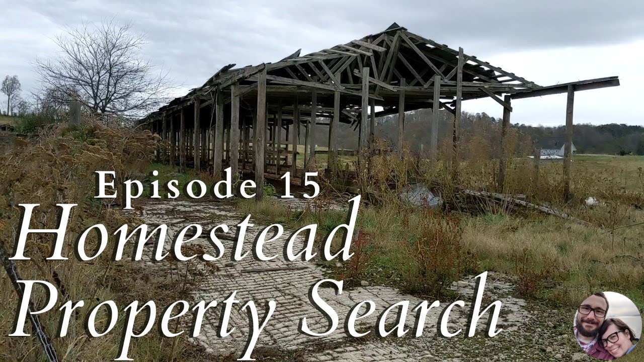 Homestead Property Search in Eastern Tennessee | Property Search Vlog #15 | Nov 15 2020 | Part 2