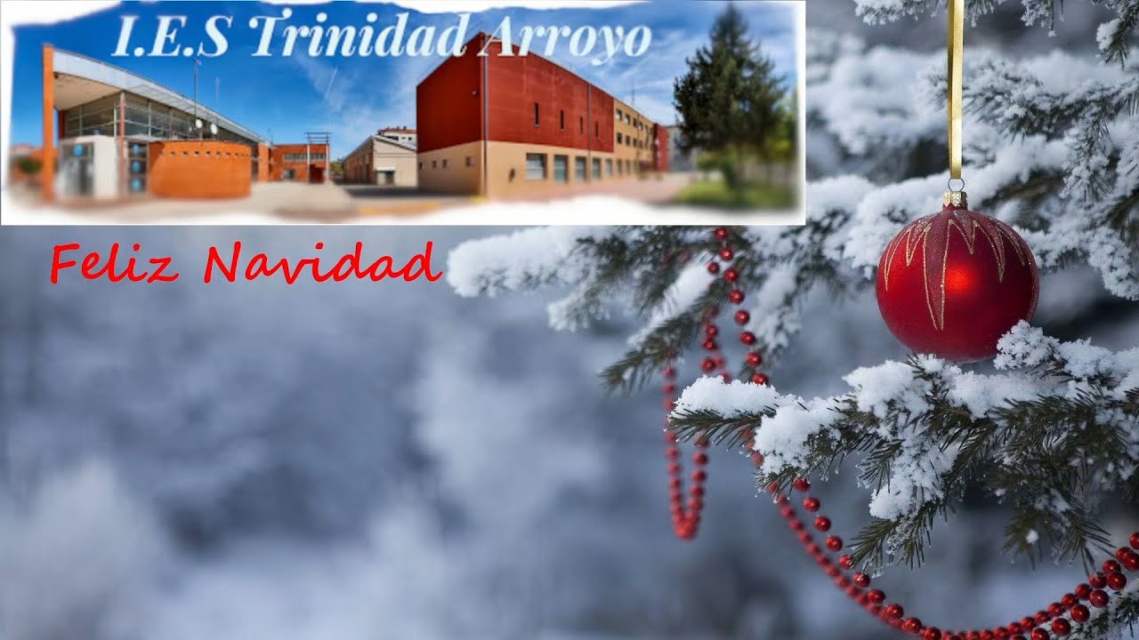 IES Trinidad Arroyo - Festival de Navidad 2024