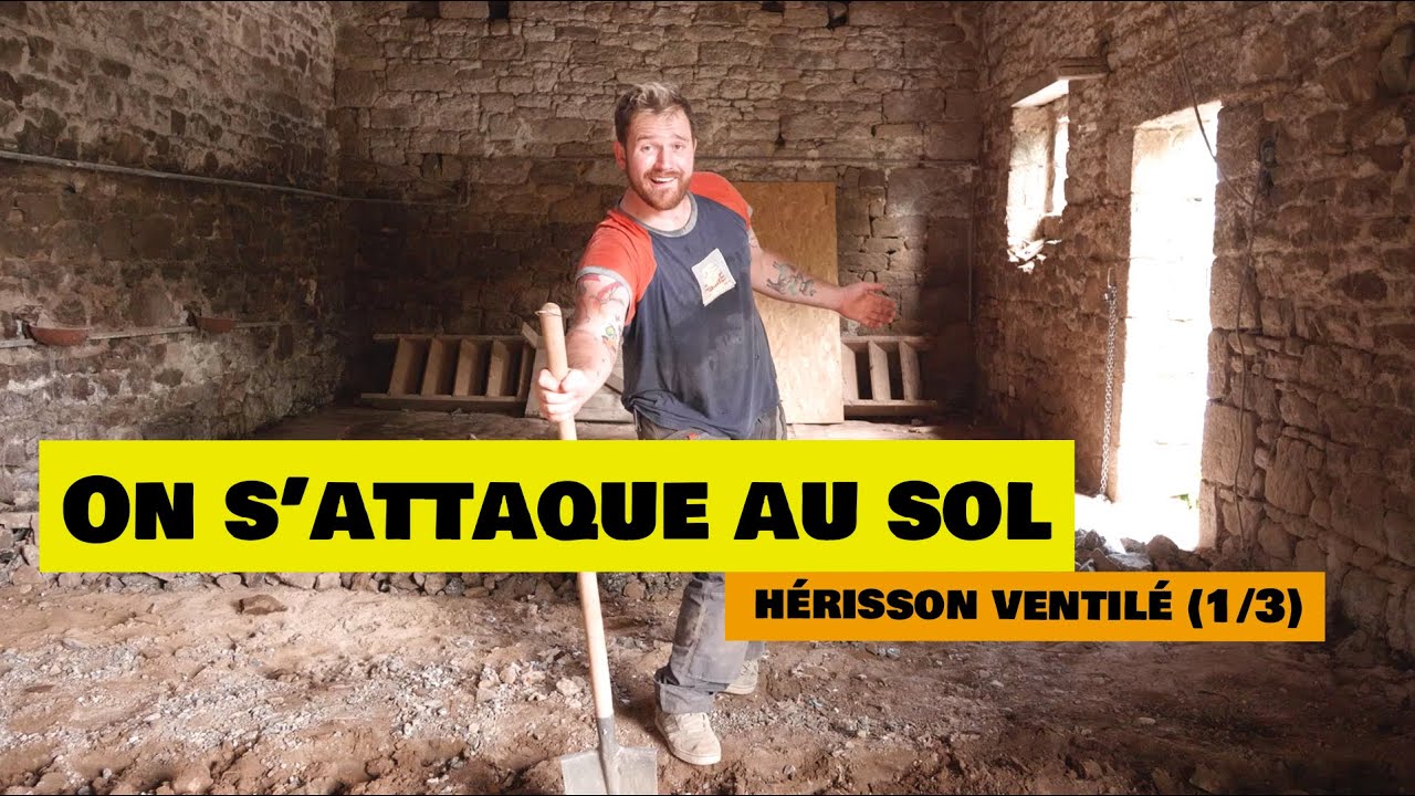 Les Néoruraux #3 // Hérisson ventilé (1/3)