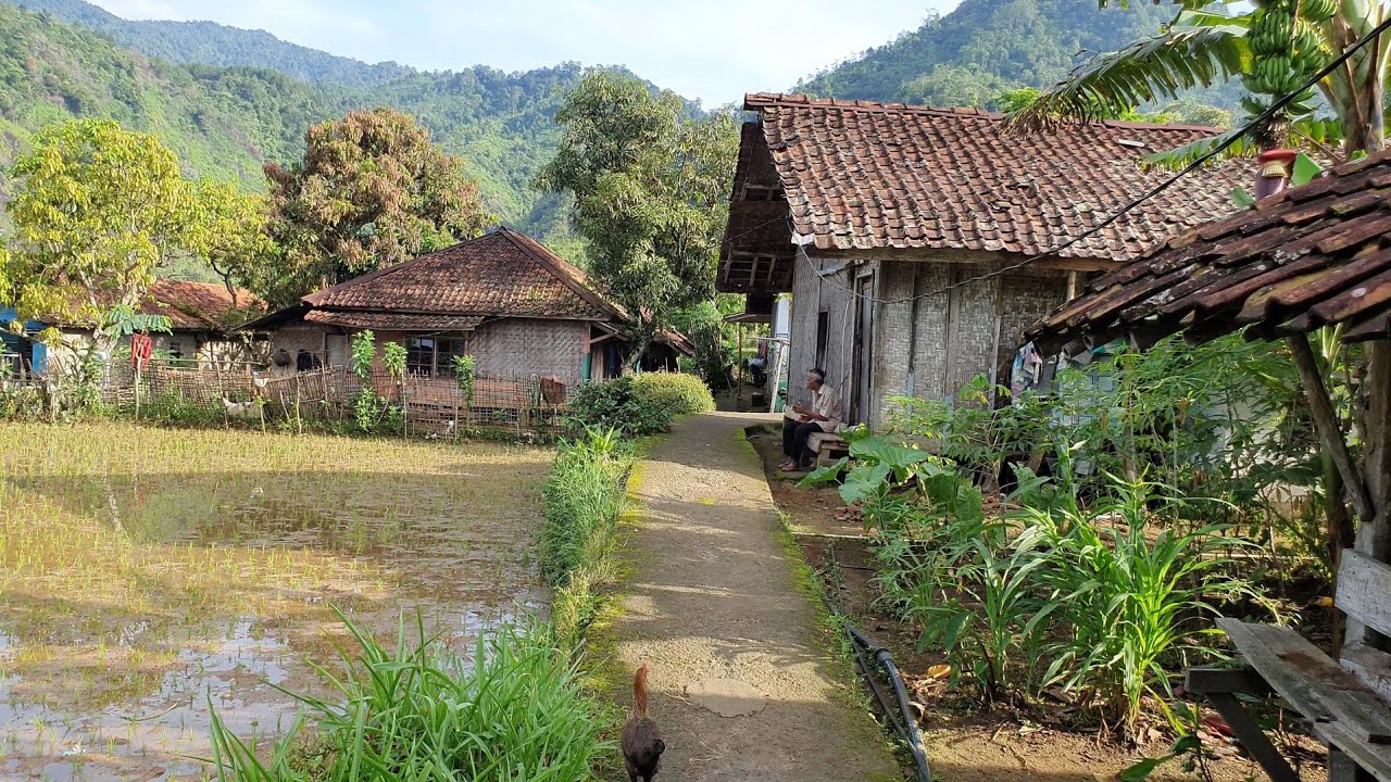 Suasana KeHidupan Yang Tenang Nyaman & Damai