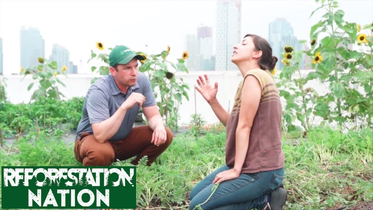 World's Biggest Rooftop Farm Revolutionizes New York City
