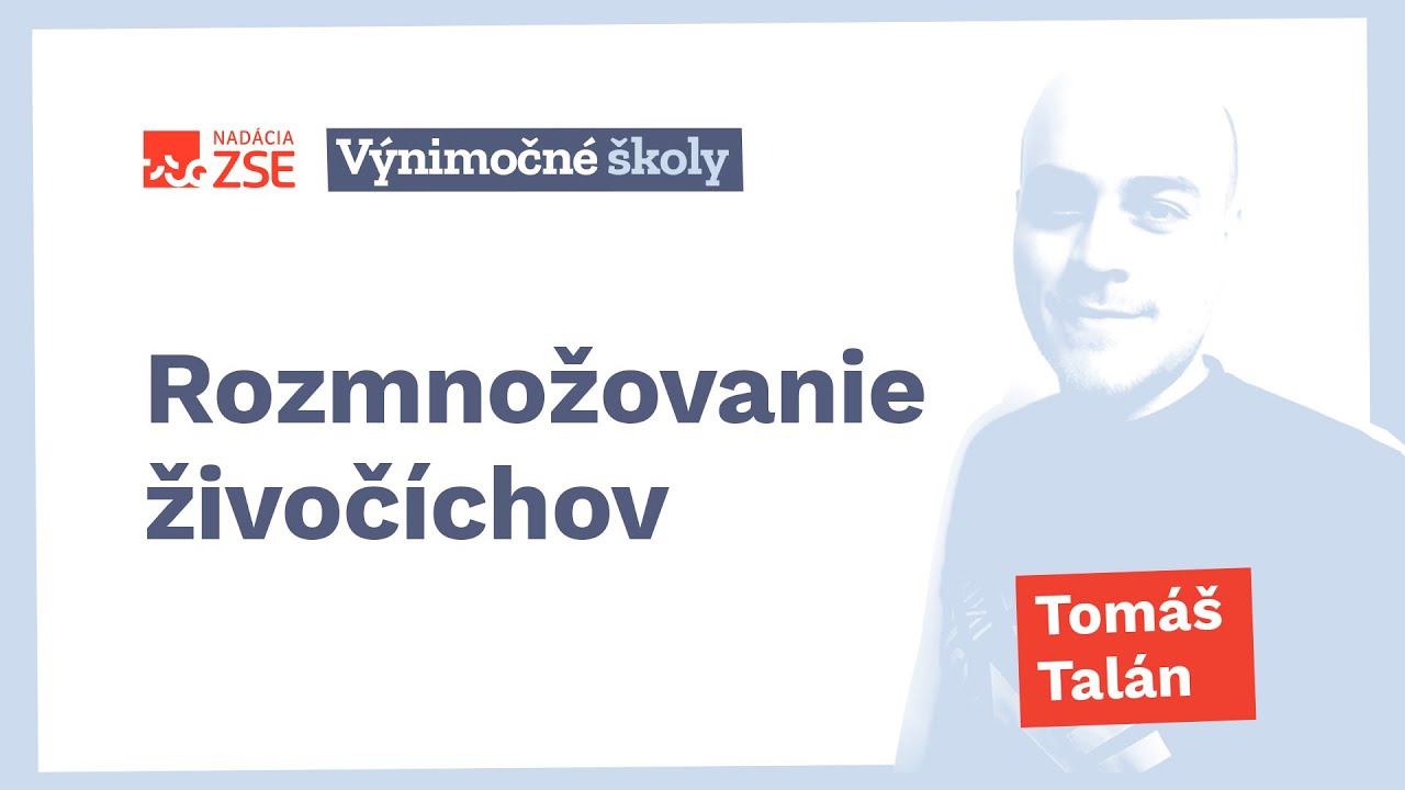 Rozmnožovanie živočíchov (Tomáš Talán)