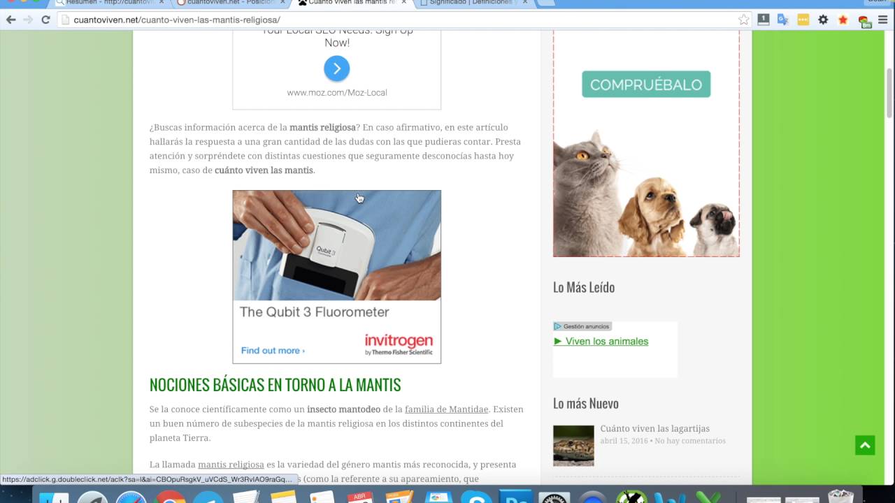 Cómo encontrar nichos de muchas búsquedas y poca competencia por Dean Romero (Curso SEO)