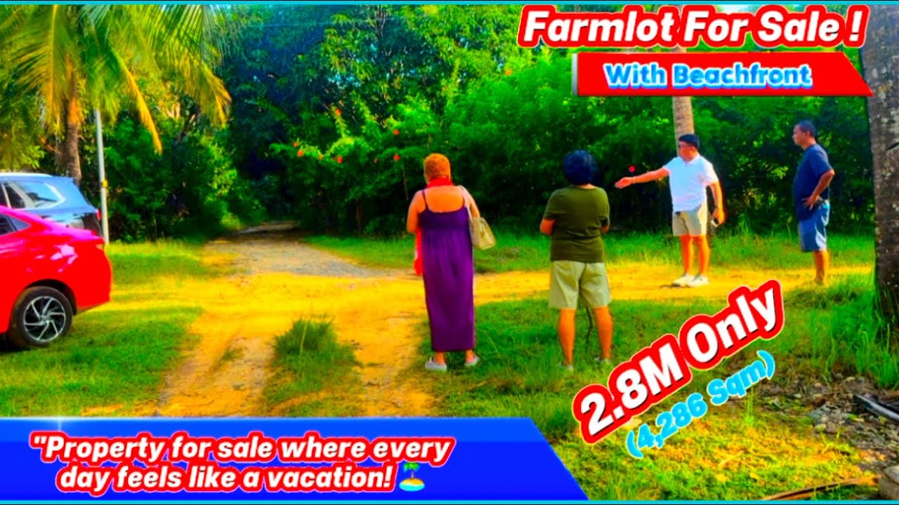 V#195 part 4 Beachfront For sale!  2.8M only (4,286) titled. Near town proper,Along the Road